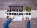 华北种小麦时间？华北平原播种小麦是什么季节