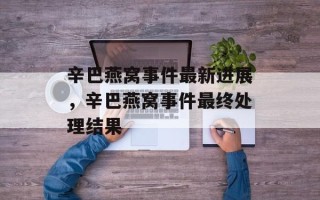 辛巴燕窝事件最新进展，辛巴燕窝事件最终处理结果