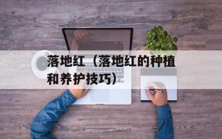 落地红（落地红的种植和养护技巧）