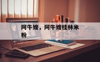 阿牛嫂，阿牛嫂桂林米粉