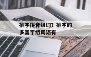 挑字拼音组词？挑字的多音字组词语有