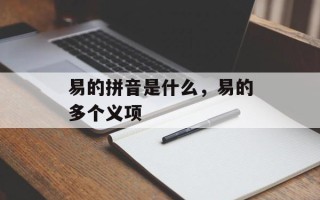 易的拼音是什么，易的多个义项