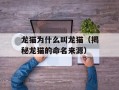 龙猫为什么叫龙猫（揭秘龙猫的命名来源）
