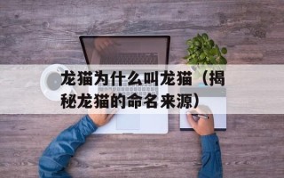 龙猫为什么叫龙猫（揭秘龙猫的命名来源）