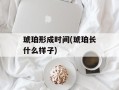 琥珀形成时间(琥珀长什么样子)