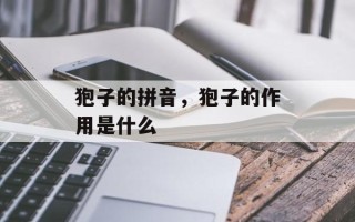狍子的拼音，狍子的作用是什么