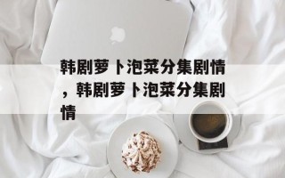 韩剧萝卜泡菜分集剧情，韩剧萝卜泡菜分集剧情