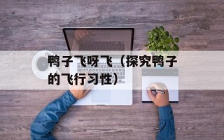 鸭子飞呀飞（探究鸭子的飞行习性）