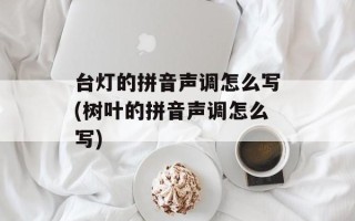 台灯的拼音声调怎么写(树叶的拼音声调怎么写)