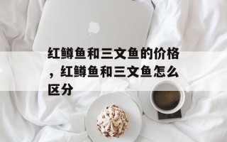 红鳟鱼和三文鱼的价格，红鳟鱼和三文鱼怎么区分