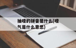 抽噎的拼音是什么(噎气是什么意思)