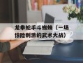 龙拳蛇手斗蜘蛛（一场惊险刺激的武术大战）