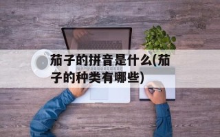 茄子的拼音是什么(茄子的种类有哪些)
