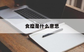 食糜是什么意思