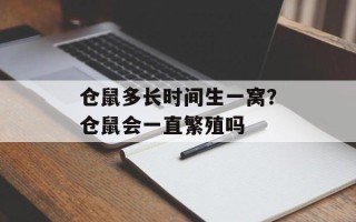 仓鼠多长时间生一窝？仓鼠会一直繁殖吗