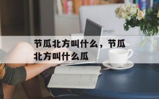 节瓜北方叫什么，节瓜北方叫什么瓜
