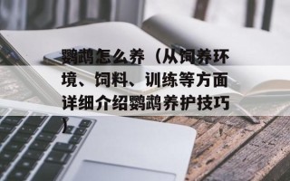 鹦鹉怎么养（从饲养环境、饲料、训练等方面详细介绍鹦鹉养护技巧）