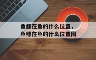 鱼鳔在鱼的什么位置，鱼鳔在鱼的什么位置图