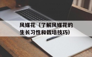 风媒花（了解风媒花的生长习性和栽培技巧）