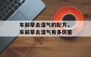 车前草去湿气的配方，车前草去湿气有多厉害