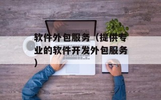 软件外包服务（提供专业的软件开发外包服务）