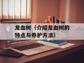龙血树（介绍龙血树的特点与养护方法）