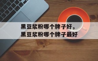 黑豆浆粉哪个牌子好，黑豆浆粉哪个牌子最好