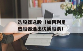 选股器选股（如何利用选股器选出优质股票）