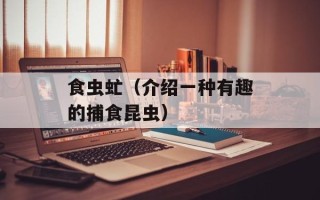 食虫虻（介绍一种有趣的捕食昆虫）