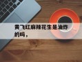 黄飞红麻辣花生是油炸的吗，