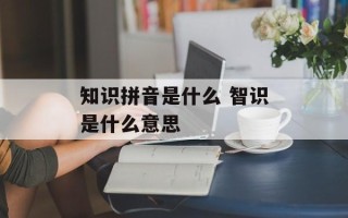 知识拼音是什么 智识是什么意思