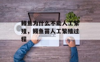 鳗鱼为什么不能人工繁殖，鳗鱼苗人工繁殖过程