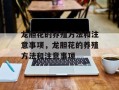龙胆花的养殖方法和注意事项，龙胆花的养殖方法和注意事项
