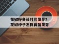 花椒籽多长时间发芽？花椒种子怎样育苗发芽