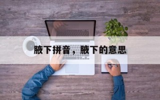 腋下拼音，腋下的意思