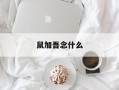 鼠加吾念什么