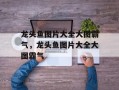 龙头鱼图片大全大图霸气，龙头鱼图片大全大图霸气