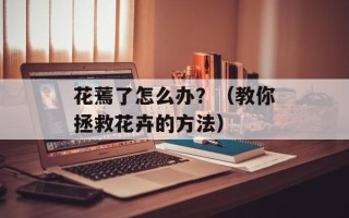 花蔫了怎么办？（教你拯救花卉的方法）