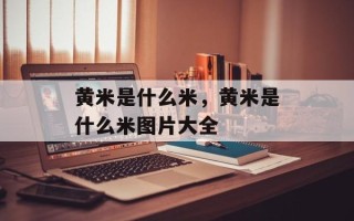 黄米是什么米，黄米是什么米图片大全