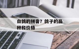 白鸽的拼音？鸽子的品种和价格