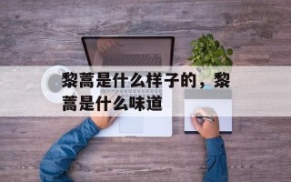 黎蒿是什么样子的，黎蒿是什么味道