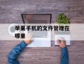 苹果手机的文件管理在哪里