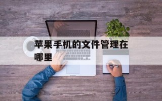 苹果手机的文件管理在哪里