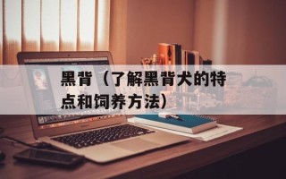 黑背（了解黑背犬的特点和饲养方法）
