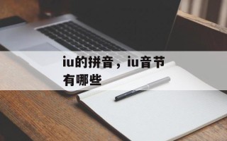 iu的拼音，iu音节有哪些