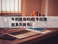 牛的反刍时间(牛吃饱后多久反刍)