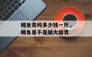 鳗鱼贵吗多少钱一斤，鳗鱼是不是越大越贵