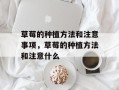 草莓的种植方法和注意事项，草莓的种植方法和注意什么