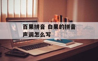 百果拼音 白果的拼音声调怎么写