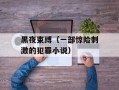 黑夜束缚（一部惊险刺激的犯罪小说）